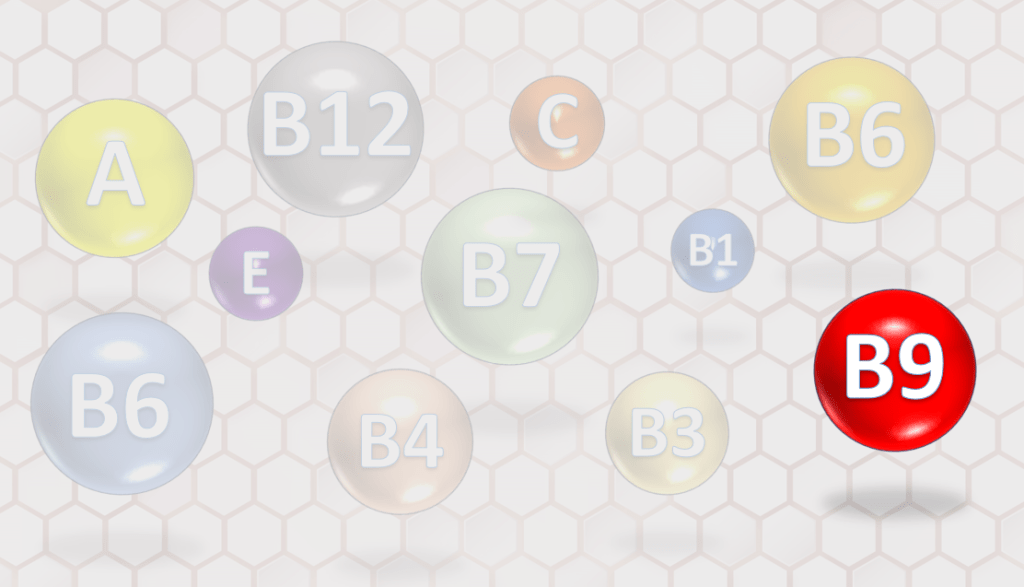 Círculos representando diferentes vitaminas con un círculo rojo prominente destacando la vitamina B9
