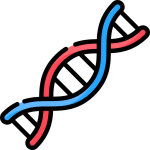ADN - Fósforo