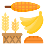 Carbohidratos