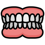 Dientes y Encías
