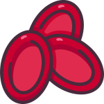 Cobalto para Glóbulos rojos