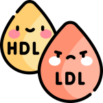 Grásas HDL y LDL