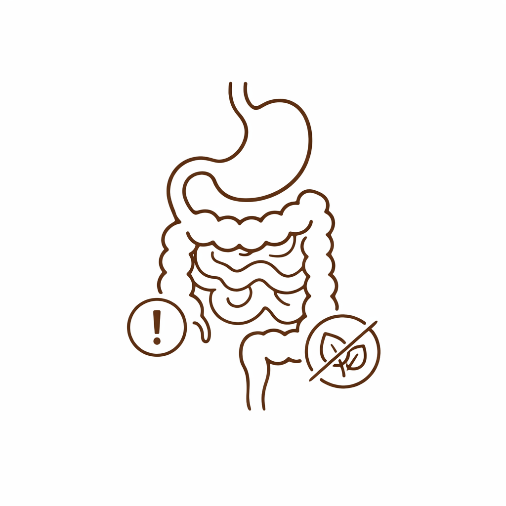 Icono de digestivo e intolerancias: estómago e intestinos con símbolo de alerta y hoja que indica sensibilidad alimentaria.